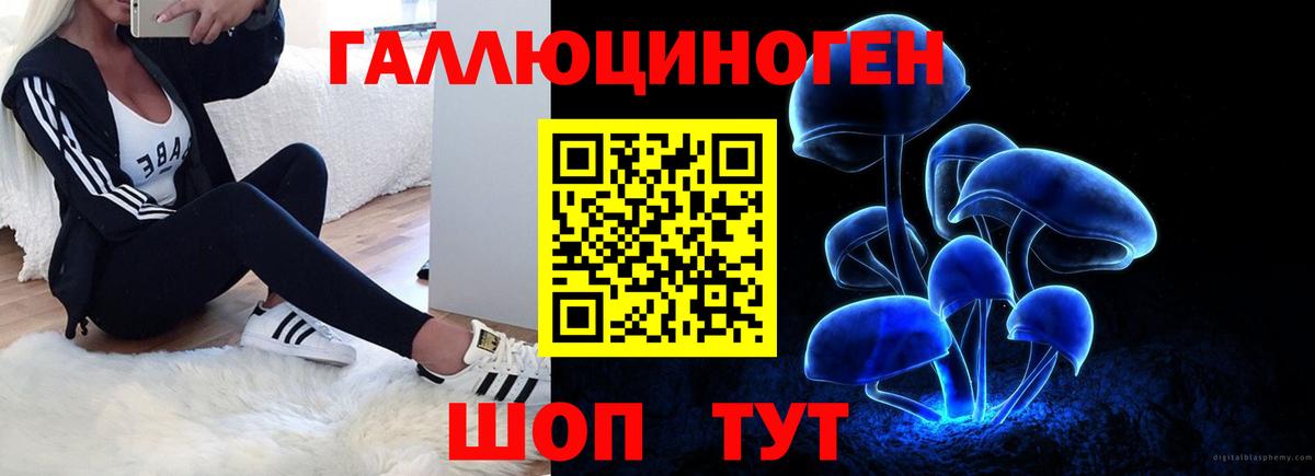 Галлюциногенные грибы ЛСД  хочу   Карасук  Вход с VPN  Псилоцибиновые грибы MAGIC MUSHROOMS 